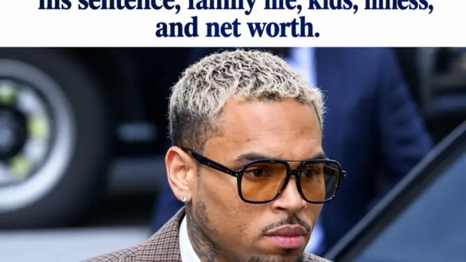 Chris Brown Avoids Jail in London Court Case_ Legal Sentence, Family & Net Worth